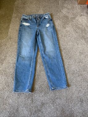 American Eagle Outfitters Medium Blue Distressed Straight Leg Jeans
